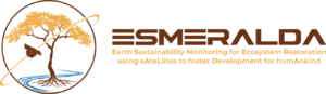 ESMERALDA SAS logo