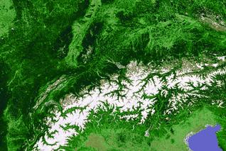 MODIS NDVI 16 days composite